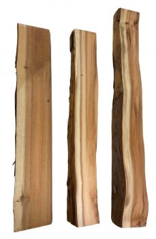 Square-Cross section Yew with sapwood approx. 50/30x50x600mm